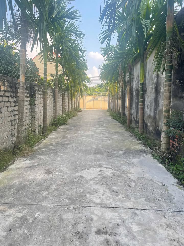 Đất thổ cư 129m² tại Quang Tiến, Tân Yên - Giá chỉ 600 triệu!