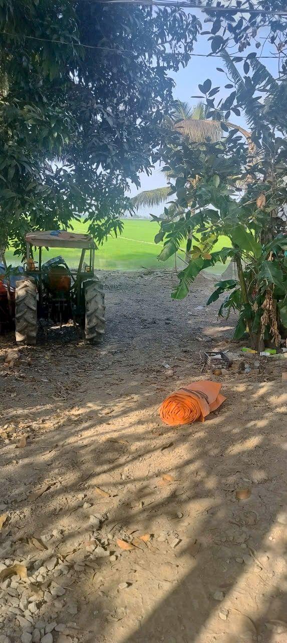 Đất nền thổ cư 500m² xã Tây Phú, An Giang - Giá chỉ 280 triệu!