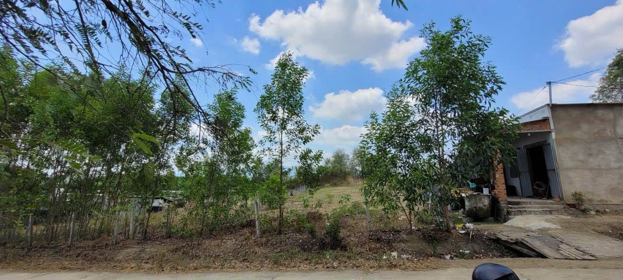 Đất Diên Lâm - Diên Khánh 300m² giá 469 triệu - Cơ hội đầu tư tuyệt vời!