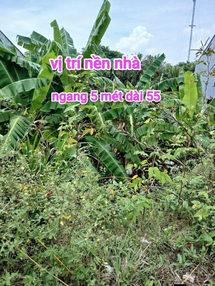 Đất nền xã Nhơn Hội, huyện An Phú, 275m² giá 420 triệu - Chính chủ bán gấp!