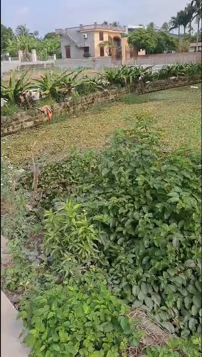 Đất thổ cư tại thôn Hà Hải, xã Hà Kỳ, huyện Tứ Kỳ - 145m² giá chỉ 300 triệu - Sổ đỏ chính chủ!