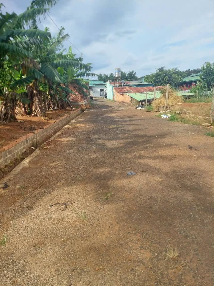 Đất nghỉ dưỡng Bảo Lộc 1000m² giá 2.4 tỷ - Tiềm năng đầu tư hấp dẫn!