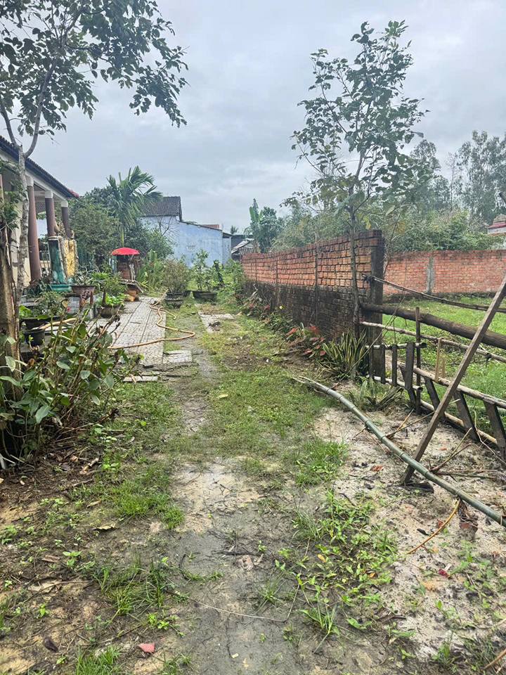 Đất nền Hòa Tiến Đà Nẵng 270m² giá 1.77 tỷ - Diện tích rộng, thích hợp tách thửa!