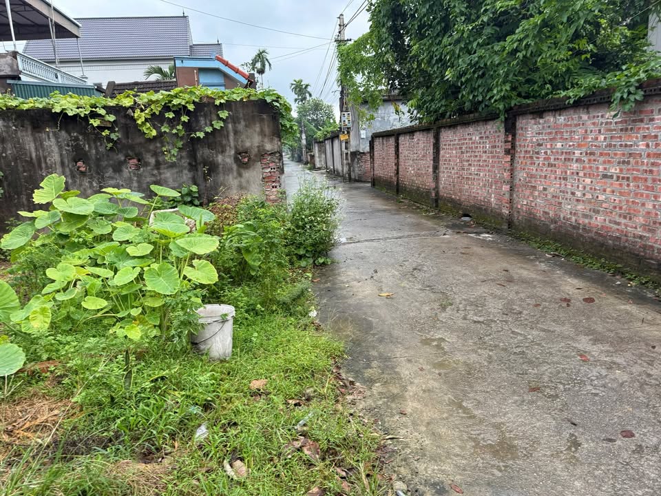 Đất thổ cư khu 8 thị trấn Thanh Hà 87m² - Ngõ ô tô vào tận nơi!