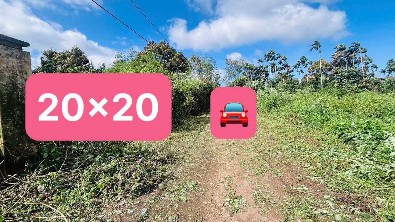 Lô đất Home Stay mini Tân Lập 400m² giá 145 triệu - View ruộng bao chill!