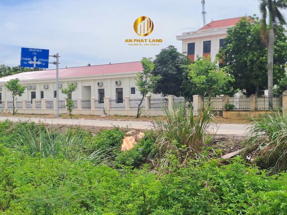 Bán đất mặt tiền 7m tại Nam Hoa Lư, Ninh Bình 140m² - Cơ hội đầu tư sinh lời!