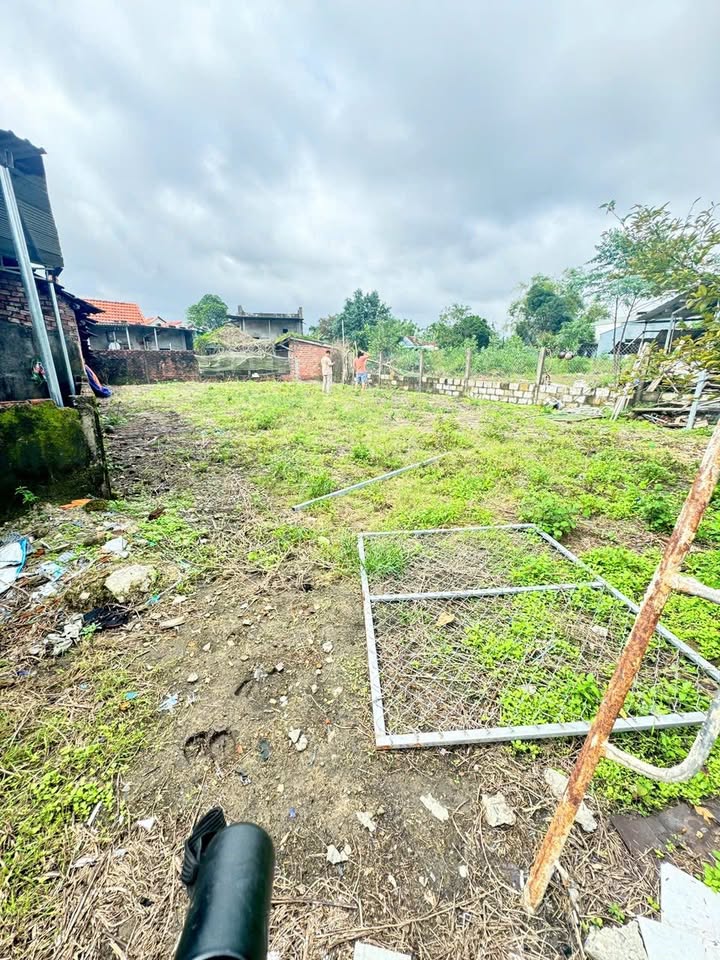 Lô đất vườn mini Hòa Phong, Đà Nẵng 300m² - Pháp lý rõ ràng, giá chỉ 1 tỷ!