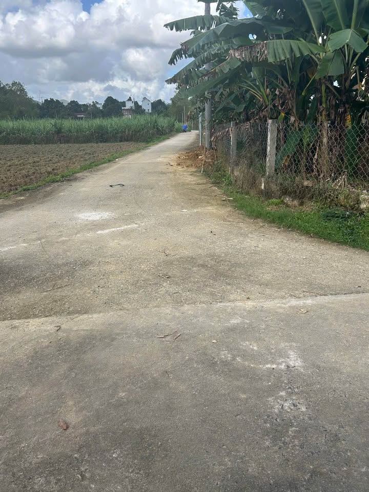 Đất trồng cây 650m² Ninh An, Bà Nà - Đầu tư sinh lời chỉ 500 triệu!