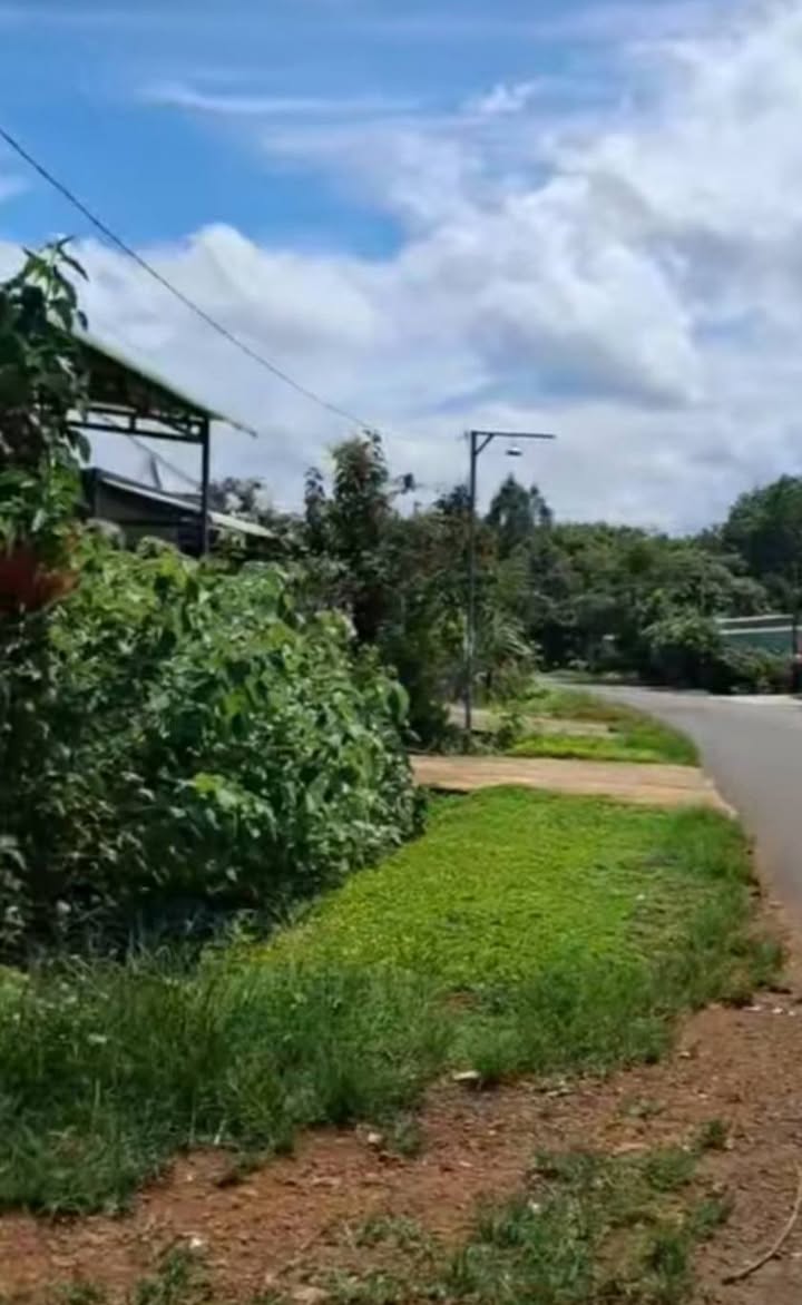 Đất nền 1.4 sào mặt tiền ĐT 755, xã Phước Sơn, Bù Đăng chỉ 1.7 tỷ - Đầu tư sinh lời!