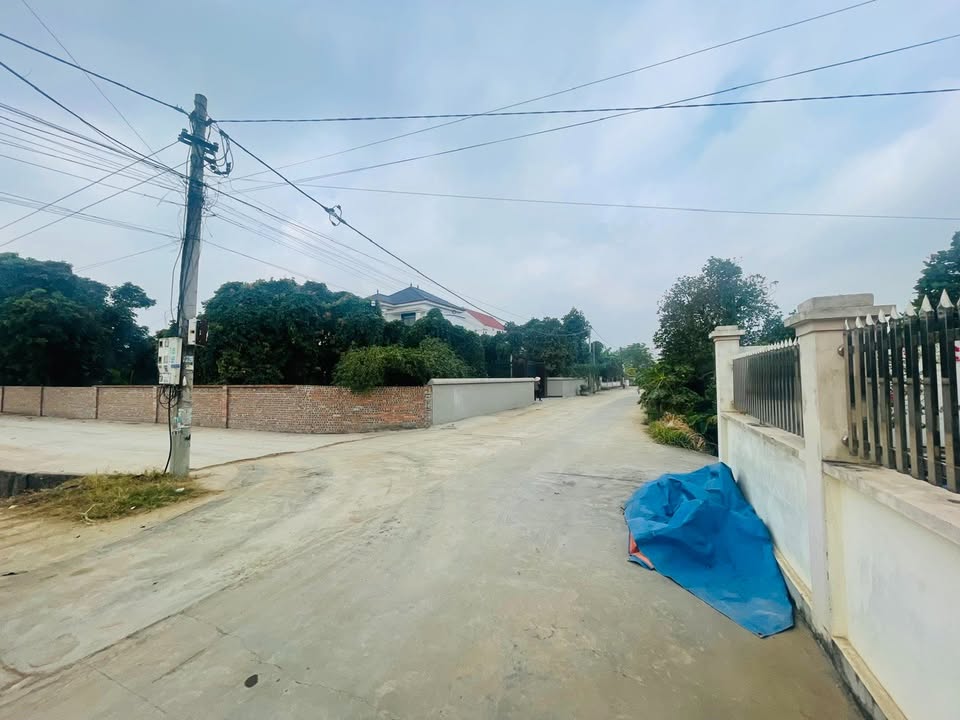 Đất nền An Thành, Kiến An, Hải Phòng 100m² - Hạ tầng hoàn thiện, thuận tiện giao thông!