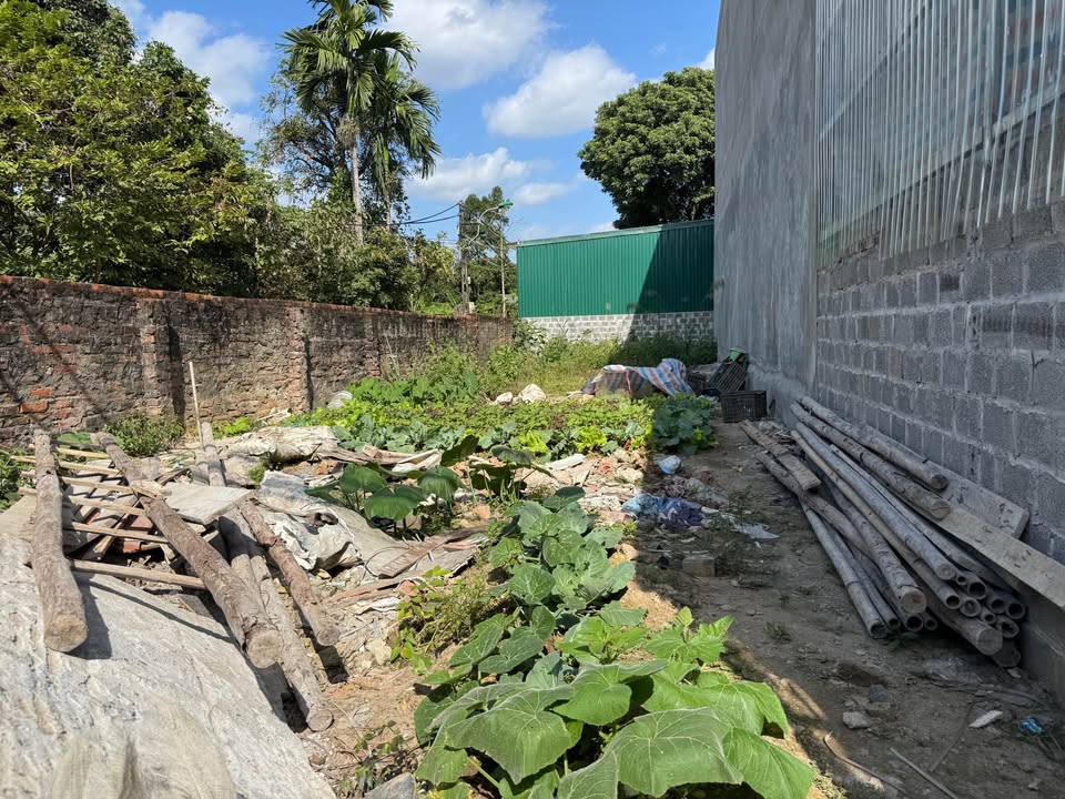 Đất nền chính chủ Tổ 17 Hữu Nghị, TP Hòa Bình 63m² giá 1 tỷ - Vị trí đắc địa, thuận lợi!