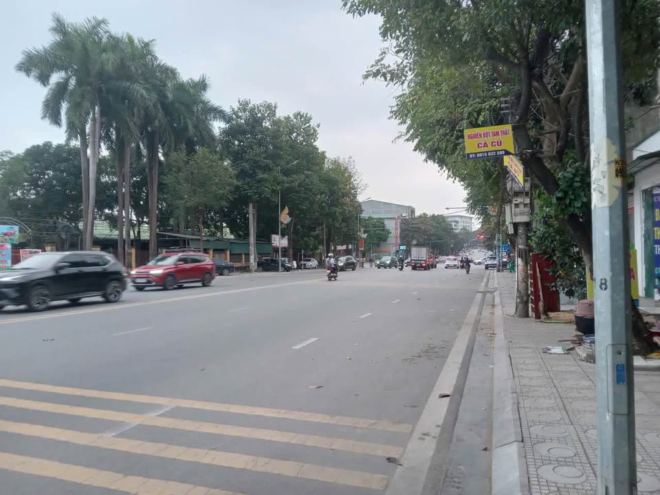 Đất thổ cư đường Trần Phú, phường Dữu Lâu, 86m² giá 4.6 tỷ - Vị trí đắc địa tại trung tâm hành chính