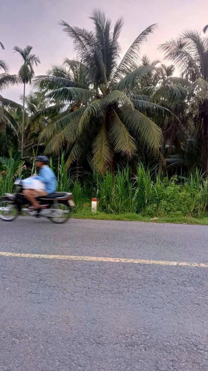 Đất nền Tân Hào, Giồng Trôm, Bến Tre 866m² - Đầu tư sinh lời ngay!