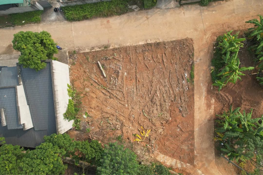 Đất nền Lâm Thao 122.5m² giá 1.4 tỷ - Mặt tiền đẹp, đầu tư sinh lời!