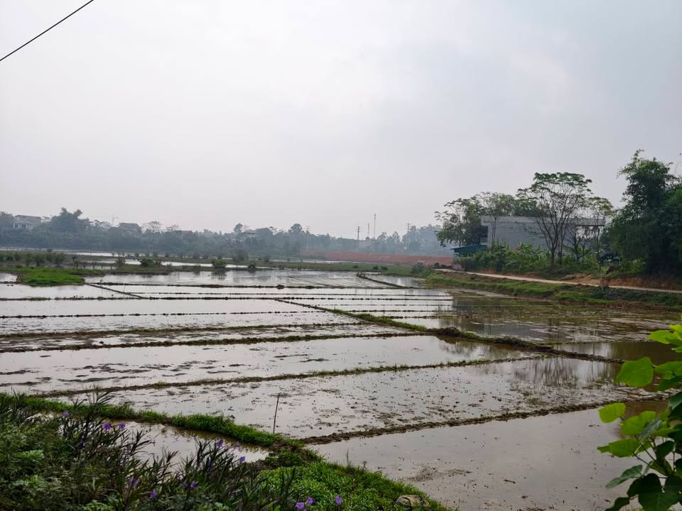 Đất nền lô góc gần đường Lê Lợi, Việt Trì 300m² - Giá chỉ 3 tỷ VND!