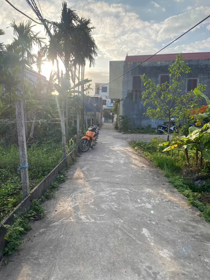 Đất nền Dương Kinh Hải Phòng 50m² giá 1.6 tỷ - Vị trí đắc địa gần Vinhomes!