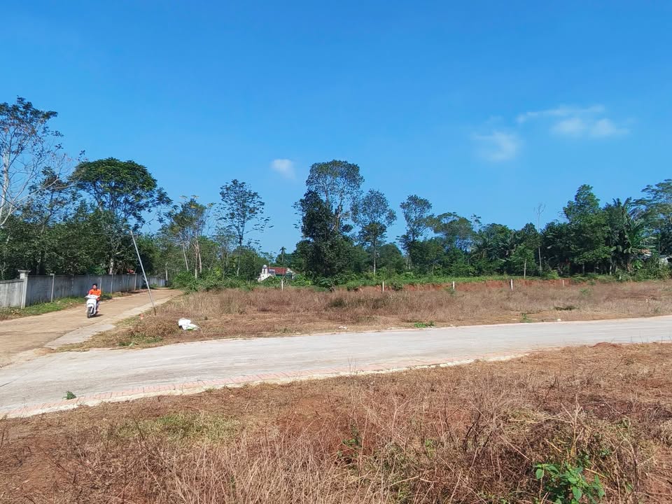 Đất nền 2275m² Xuân Bình, Như Xuân, Thanh Hóa - Cơ hội đầu tư hấp dẫn!