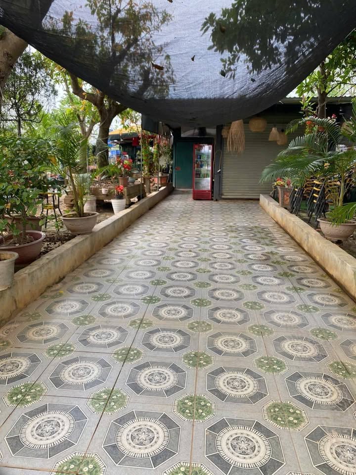 Đất thổ cư Chương Dương, Thường Tín 648m² giá 1 tỷ - Sổ đỏ chính chủ!