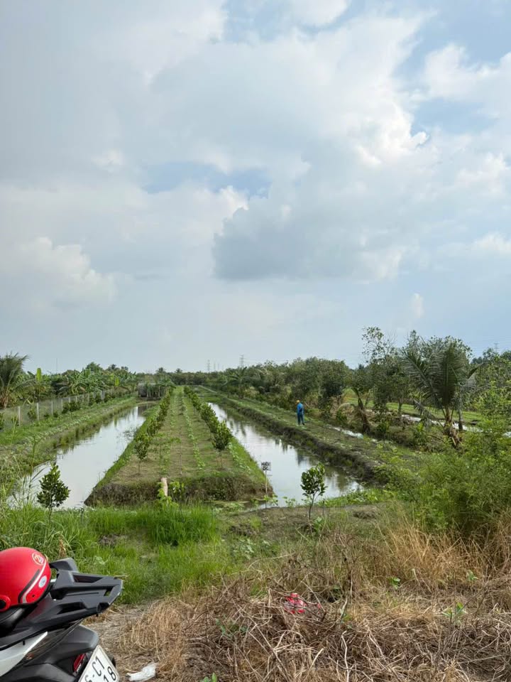 Đất nền Lộ 3B Ngã 6 Châu Thành 3000m² - Giá thỏa thuận hấp dẫn!