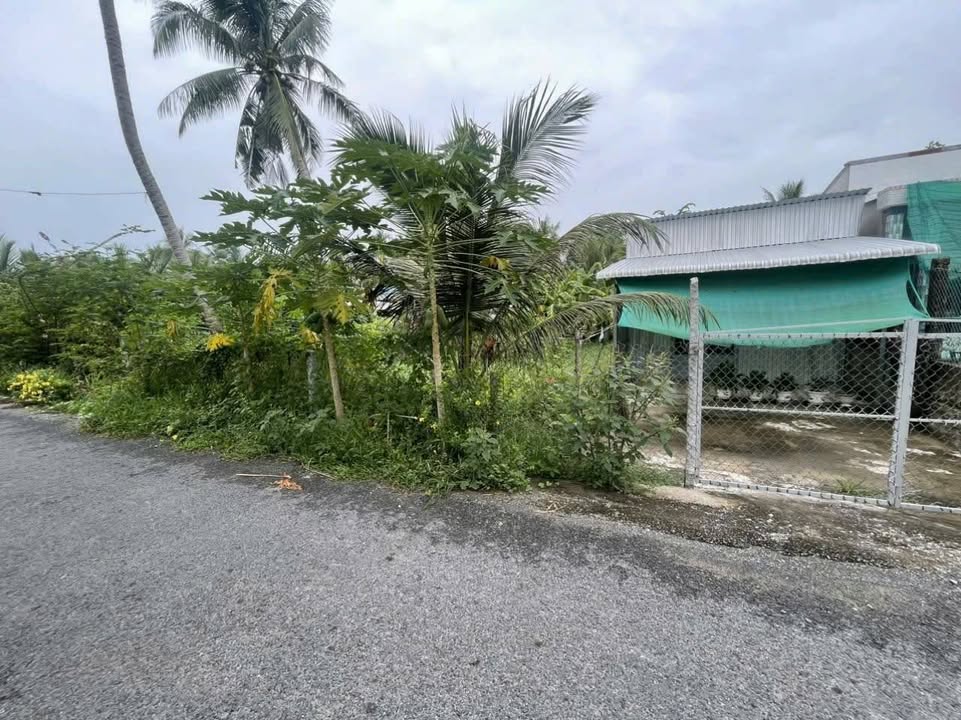 Nhà + Đất tại Nhơn Bình, Trà Ôn, Vĩnh Long 193m² giá 420 triệu - Đầu tư lý tưởng!