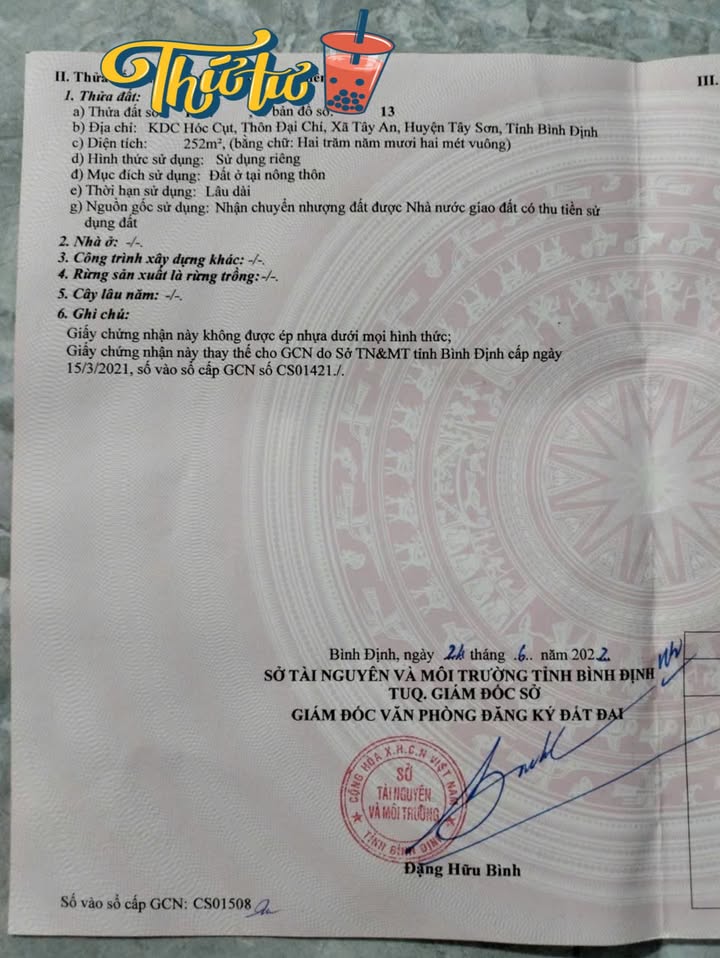 Đất thổ cư Tây An, Tây Sơn 252m² - Pháp lý rõ ràng, sẵn sàng giao dịch!