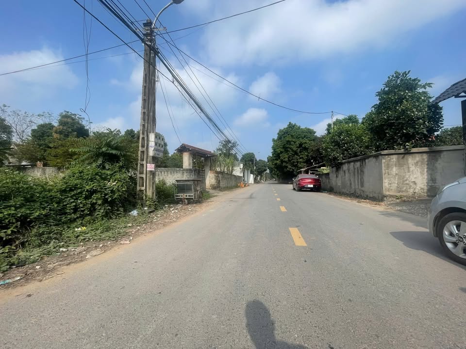 Đất nền TDP Đồng Vang, Kim Long, Tam Dương 113,7m² giá 1,6 tỷ - Đầu tư sinh lời ngay!