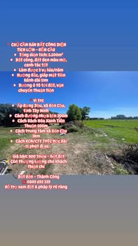 Đất công Bến Cầu 5.500m² giá 900 triệu - Tiềm năng canh tác lớn!