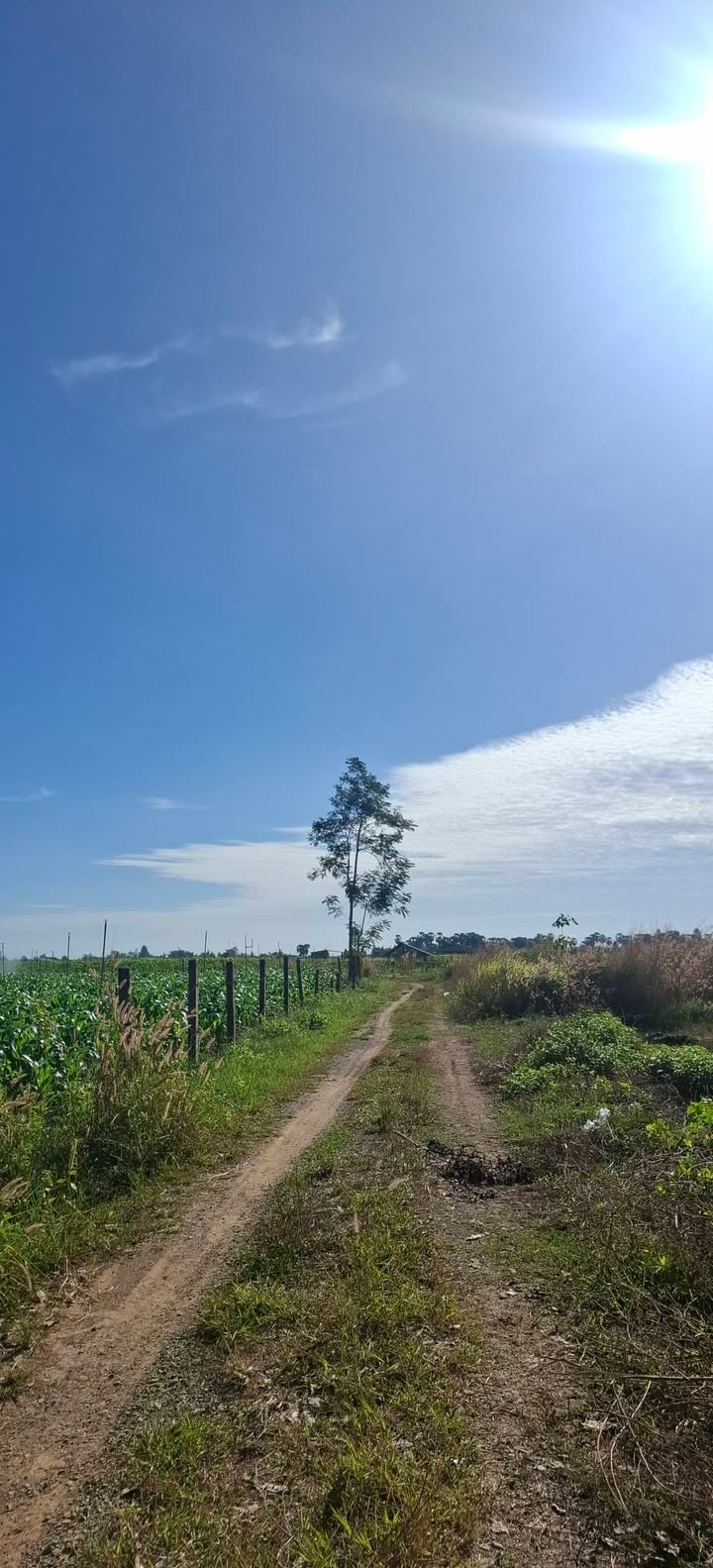 Đất nền Thạnh Tân, Tây Ninh 500m² - Mặt tiền 22m, giá tốt đầu tư!