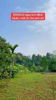 Đất nền KCN Minh Quân 4000m² - Giá tốt, thổ cư sẵn!