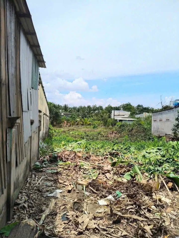 Bán Đất Mặt Tiền Đường Thanh Niên, Bình Chánh 737m² - Sổ Hồng Chính Chủ, Giá Tốt!