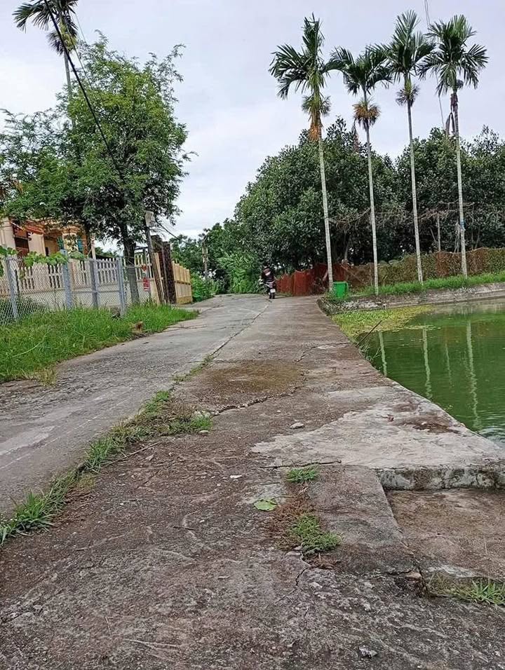 Lô đất Hữu Bằng - Kiến Thụy 56.2m² giá chỉ 500 triệu - Đường ô tô vào thoải mái!