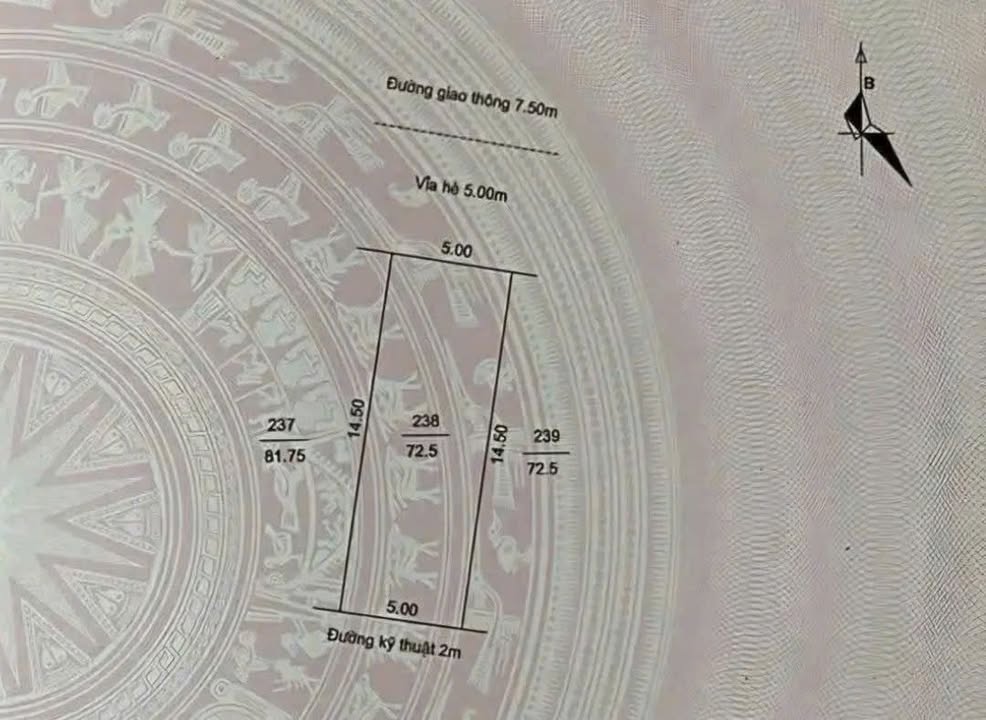 Đất nền Khu Đô Thị Trần Hưng Đạo Hải Dương 72.5m² giá chỉ 5x triệu/m² - Cơ hội đầu tư hấp dẫn!