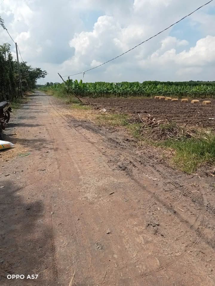 Đất nền Hòa Hội Xuyên Mộc 6500m² giá 1.955 tỷ - Sổ đỏ chính chủ, mặt tiền đường nhựa!