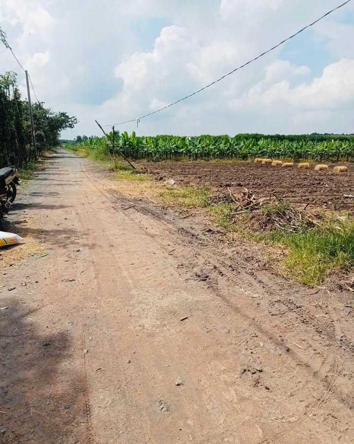 Đất Hòa Hội Xuyên Mộc 6500m² giá 3.45 tỷ - Cơ hội đầu tư hấp dẫn!