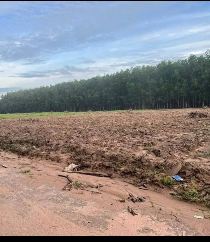 Đất sào giá rẻ tại Hòa Hội Xuyên Mộc 1027.6m² chỉ 499 triệu - Cơ hội đầu tư không thể bỏ lỡ!