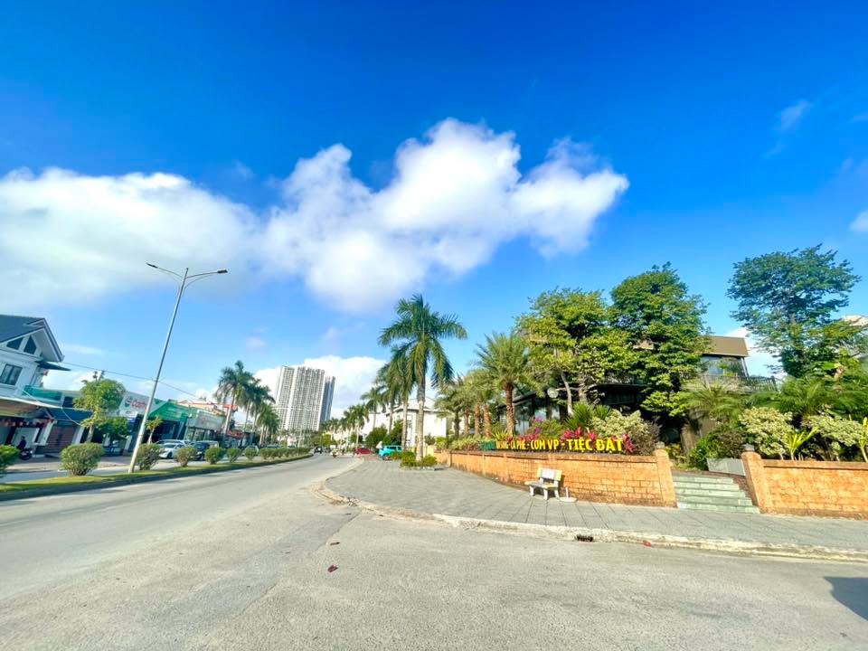 Đất nền Hạ Long, đường Trần Thái Tông 67m² giá 4 tỷ - Vị trí kinh doanh đắc địa!