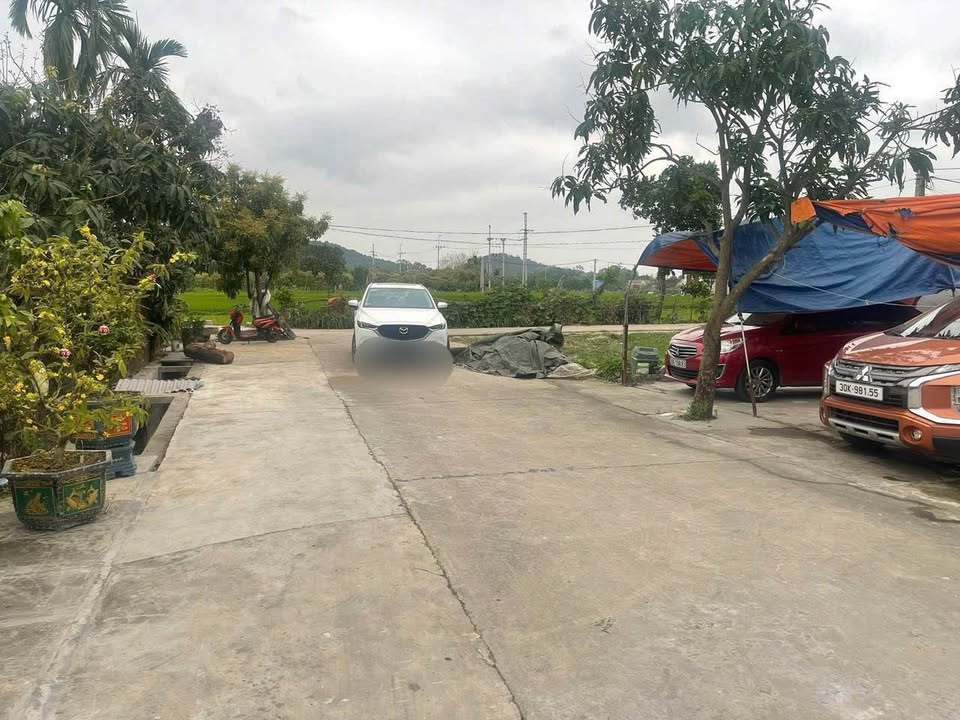 Đất nền lô góc thôn Quảng Hội, xã Nội Bài 56.5m² - Giá chỉ 40 triệu/m²!