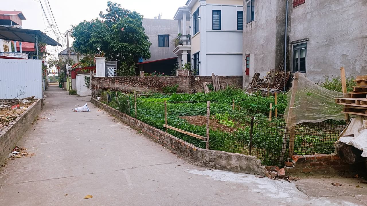 Đất nền lô góc Quang Tiến, Sóc Sơn 54,5m² giá 2 tỷ - Ô tô đỗ cửa, tiện ích đầy đủ!