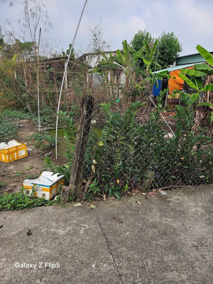 Đất nền hẻm đường Châu Thị Kim, Tân An, Long An 125m² - Giá đầu tư chỉ 560 triệu!