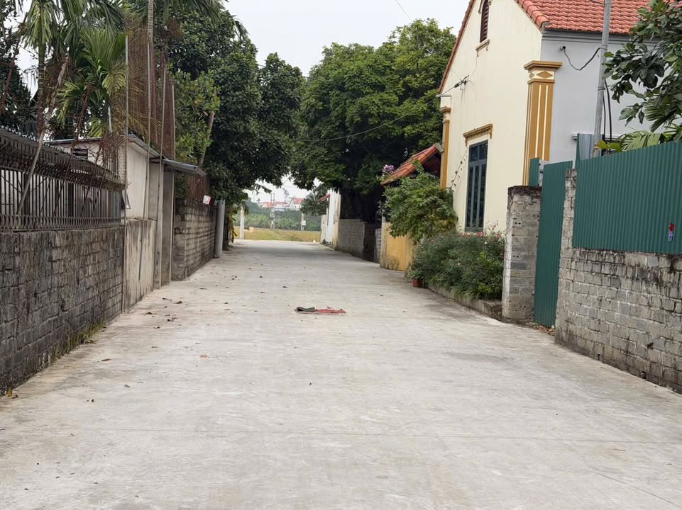 Đất nền Phù Lưu, Mỹ Đức 121.9m² giá 2.437 tỷ - Cơ hội tốt cho nhà đầu tư!