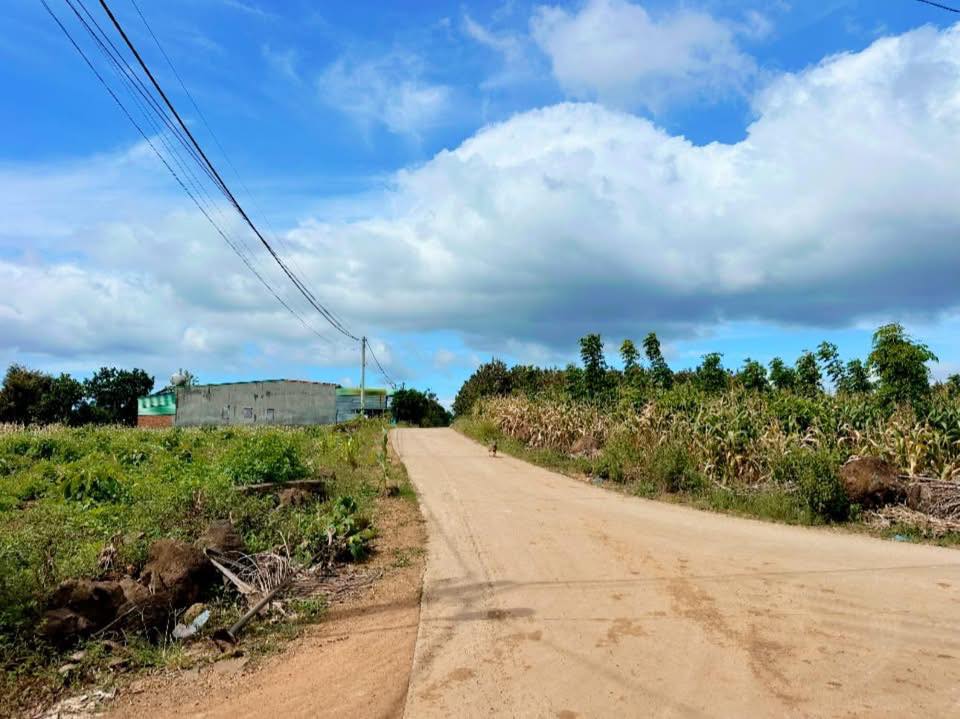 Đất nền Cư Jút Đắk Nông 247m² giá 1.815 tỷ - Đầu tư sinh lời ngay!