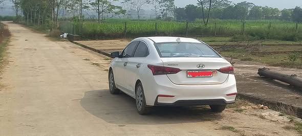 Đất Tề Lễ Tam Nông 262m² giá 400 triệu - Sổ đỏ chính chủ, vị trí đẹp!