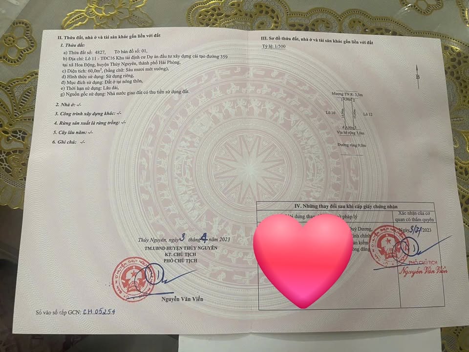 Đất nền Hoa Động, Thủy Nguyên 60m² giá chỉ 3.05 tỷ - Đầu tư sinh lời ngay!