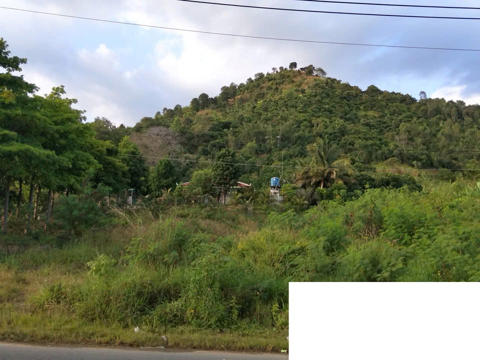 Bán đất mặt đường Tỉnh Lộ 721, Ma Đa Guôi, Đạ Huoai, Lâm Đồng - Diện tích 12.090m², giá 19.8 tỷ, vị trí đắc địa!