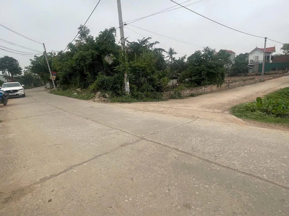 Đất thổ cư 198m² Thượng Vực Chương Mỹ Hà Nội - Mặt tiền kinh doanh sầm uất!