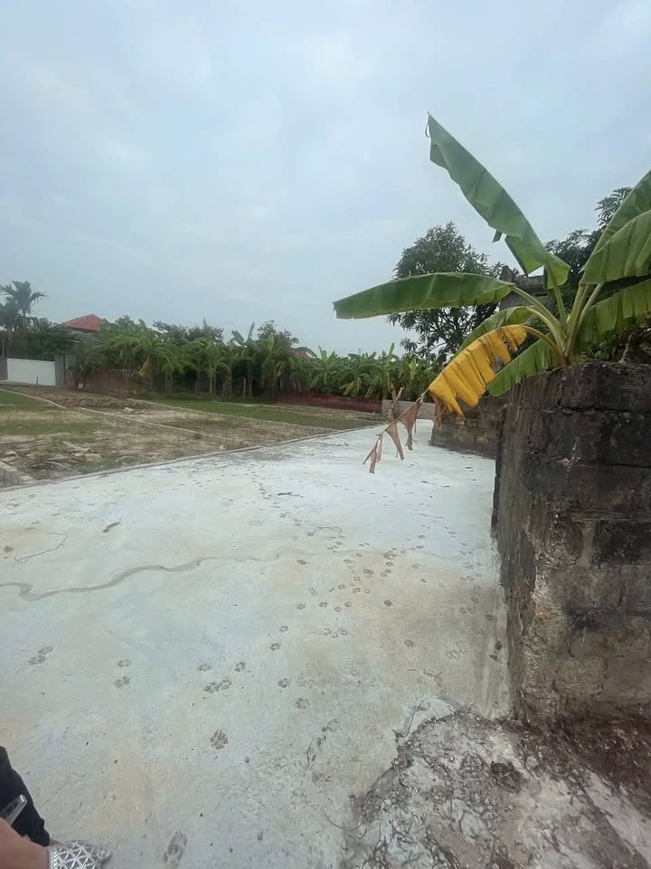 Đất nền Lê Ích Mộc, Thủy Nguyên 72m² giá 800 triệu - Đường ô tô vào tận nơi!