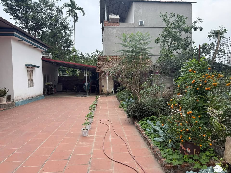 Đất thổ cư thôn Minh Khai, Lập Thạch 766m² - Nhà C4 kiên cố, giá thỏa thuận!