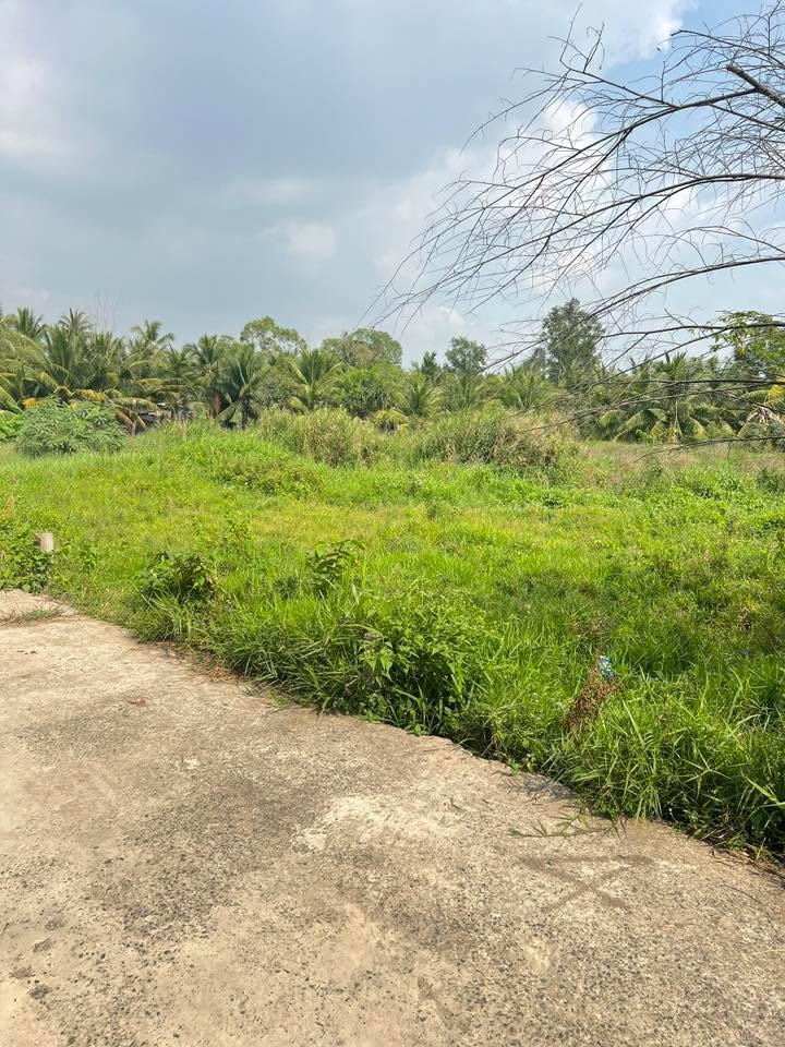 Đất nền 50m² tại Long Tuyền, Cần Thơ - Sổ đỏ chính chủ, giá chỉ 879 triệu!