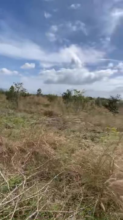 Đất nông nghiệp 4ha tại xã Ea H'leo giá 1.28 tỷ - Tiềm năng đầu tư lớn!