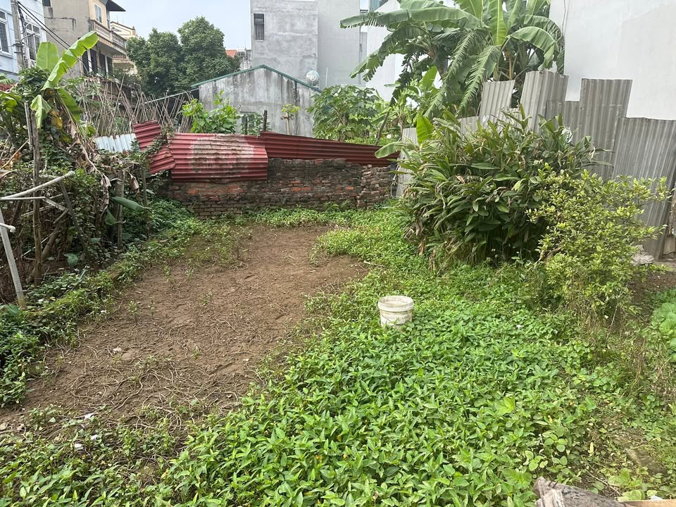 Đất Hải Bối Đông Anh 42m² giá 4.6 tỷ - Đầu tư sinh lời ngay!